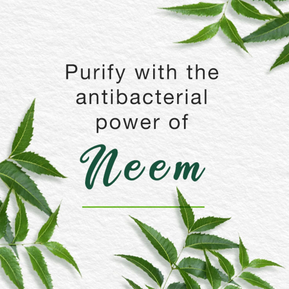 Himalaya Neem Face Wash (150 ml) - Image 2